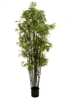 Artificial Bamboo Japanese Tree<br>Black Stem - 1.9m