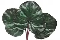 Artificial Ligulafia Leaf<br>65cm
