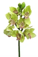 Artificial Cymbidium Orchid<br>Green