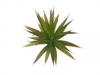 Artificial Spikey Succulent<br>20cm
