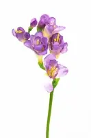 Artificial Freesia<br>Lilac