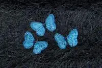 Glitter Butterflies - Blue