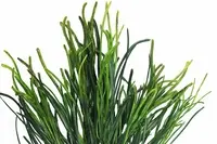 Artificial Leek Leaf Grass<br>Green