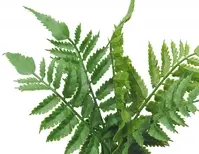 Artificial Leather Fern Pick<br>30cm