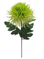Artificial Spider Chrysanthemum<br>Green