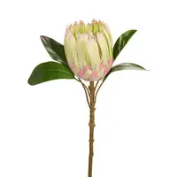Artificial Protea<br>Green/Pink