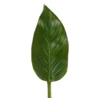 Artificial Colocasia Leaf<br>48cm