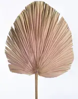 Dried Natural Fan Palm Leaf<br>Pink - Large