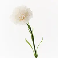 Artificial Carnation-Real Touch<br>Winter White