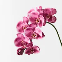 Artificial Phalaenopsis Orchid Spray<br>Hot Pink