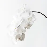 Artificial Phalaenopsis Orchid Spray<br>Winter White 96cm