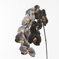 Artificial Phalaenopsis Orchid Spray<br>Black/White