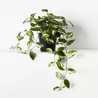 Artificial Hanging Hoya Plant<br>Potted - 32cm