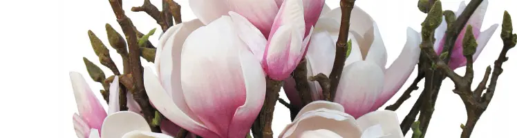 Artificial Flowers Magnolias