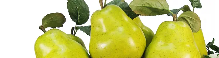 Artificial Fruit