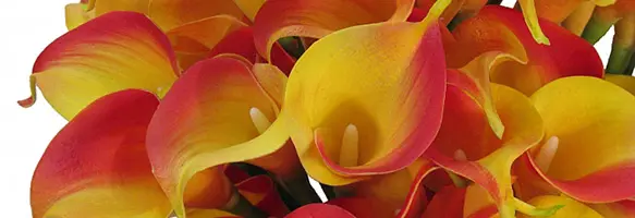 Artificial Flowers Calla Lilies