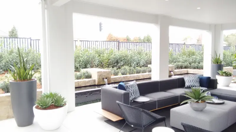 2. Sanseveria & Agave Planters