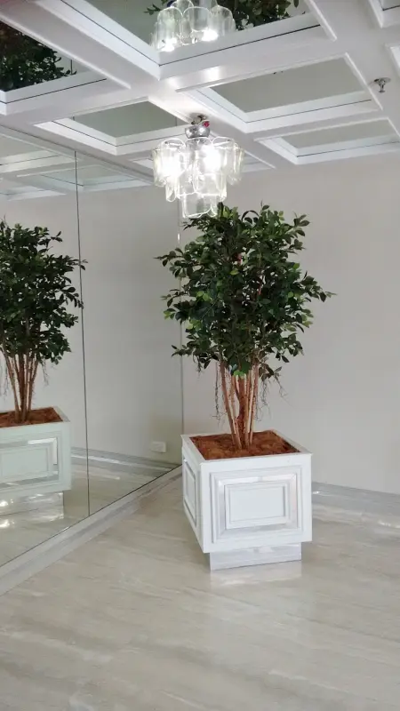 2. Apartment Front Foyer