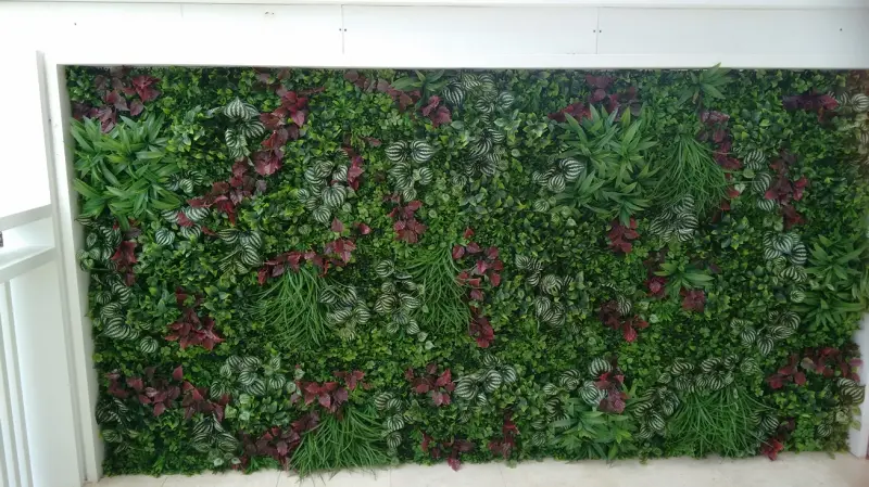 1. Privacy Greenery Wall