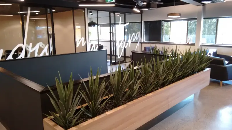 1. Planter Box - Office