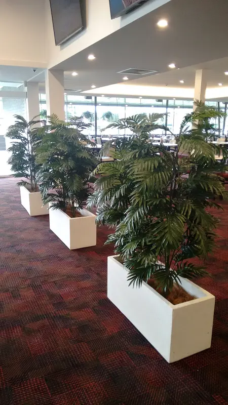 1. Wall Planters, Hanging Baskets & Trees