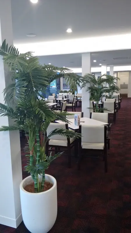 2. Wall Planters, Hanging Baskets & Trees