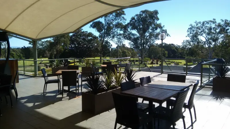 2. Artificial Yuccas & Raphis Palms