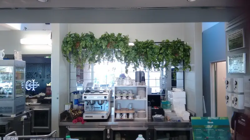 3. Artificial Yuccas & Raphis Palms