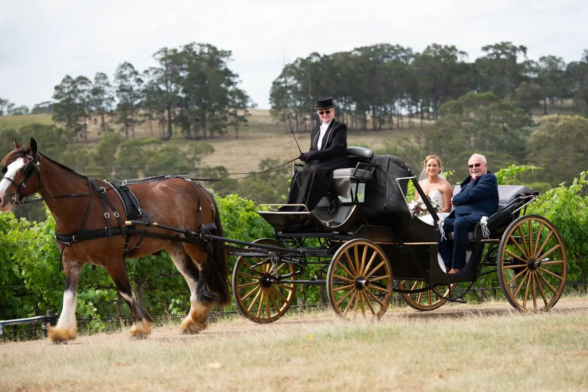 Horse & Cart