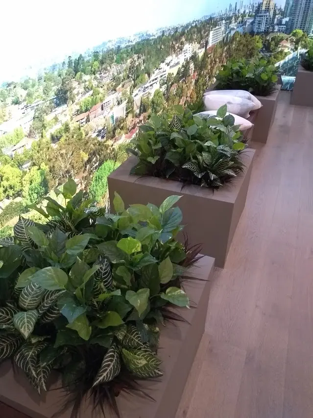 Display Suite - Image 1