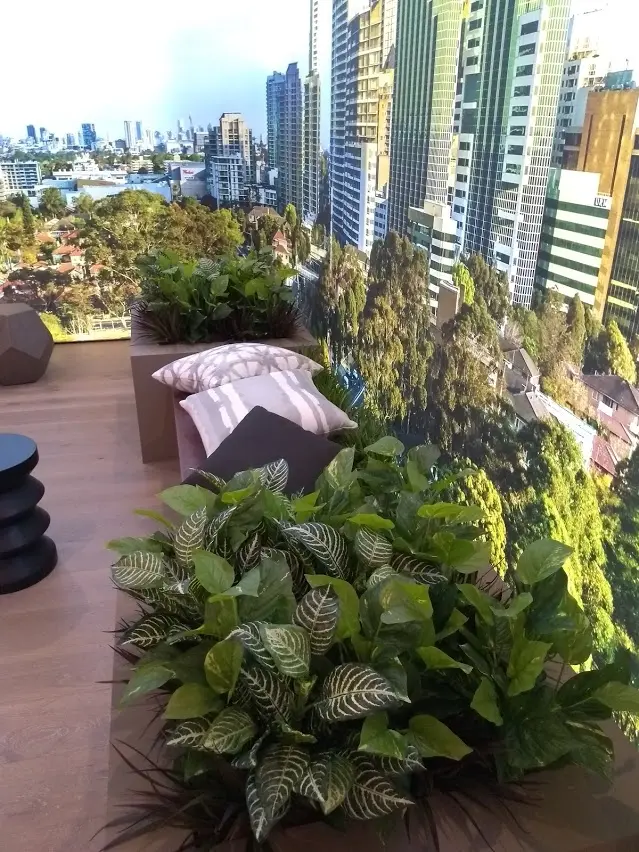 Display Suite - Image 3