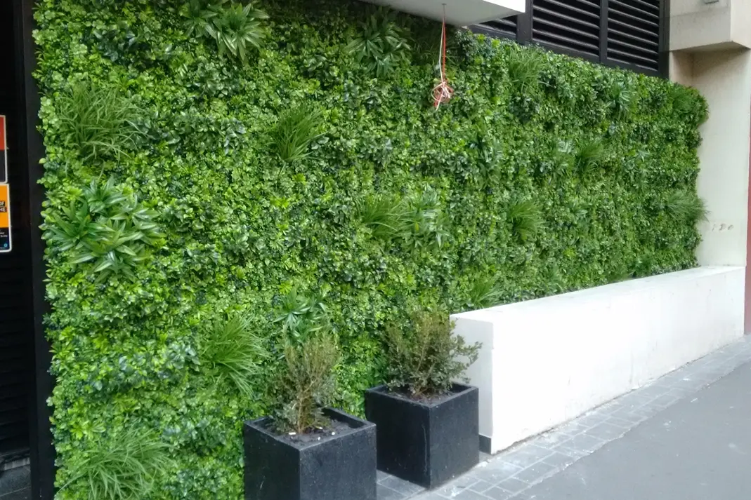 Greenery Wall