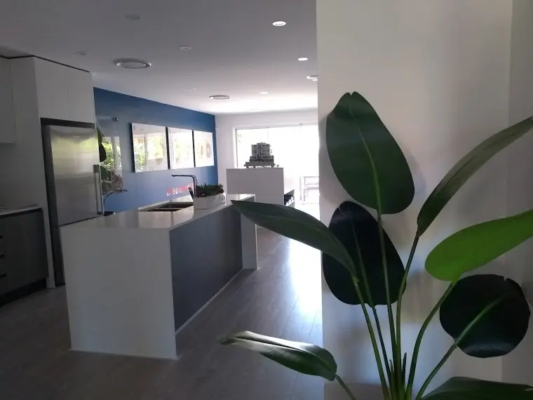 Artificial Bird of Paradise