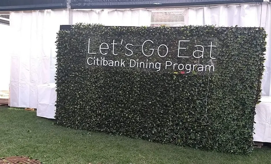 Greenery Wall - Before