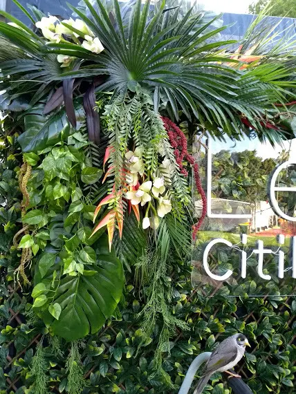 Tricked the Wildlife!