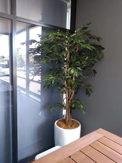 Outdoor Breakout Area