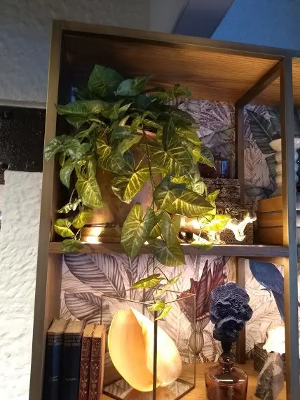 Artificial Hanging Syngonium