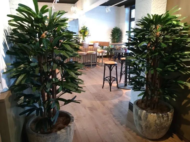 Artificial Raphis Palms