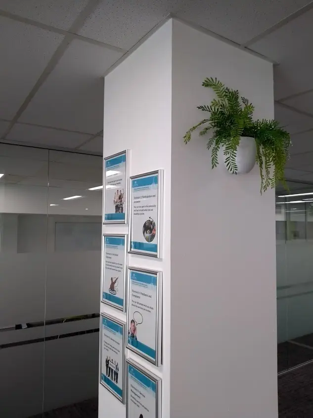 Wall Hanging Planters