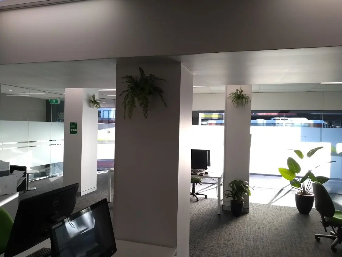 Wall Hanging Planters