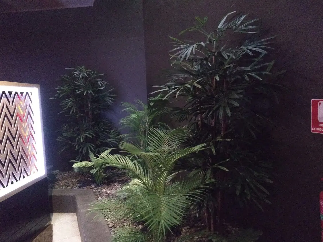 Indoor Garden 