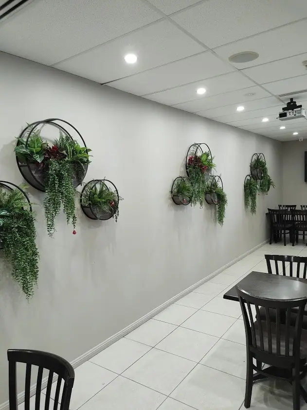 Wall Planters