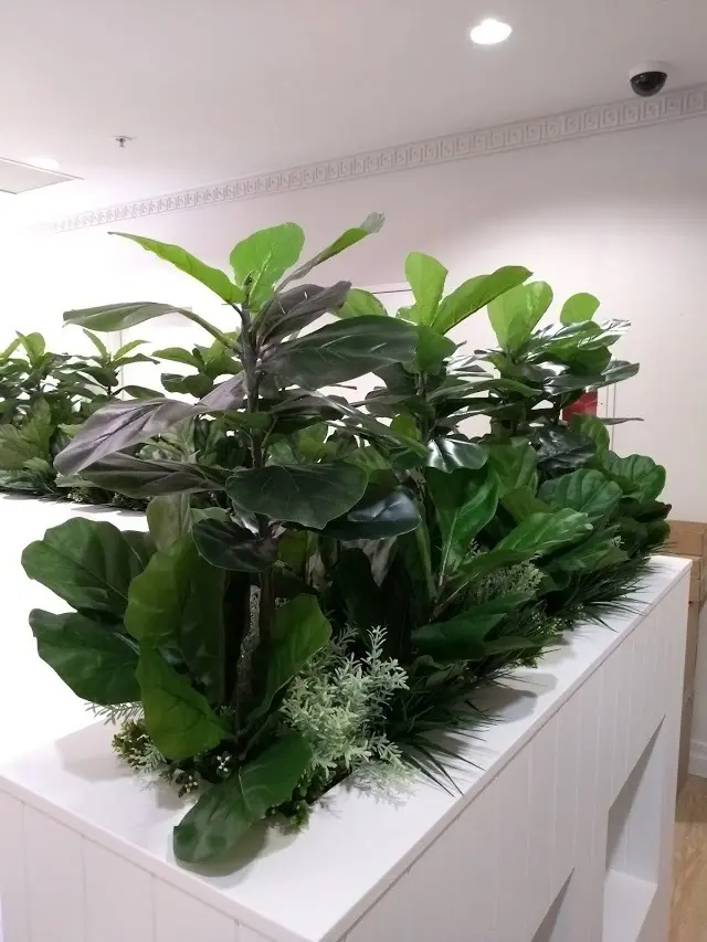 Christie Offices - North Sydney