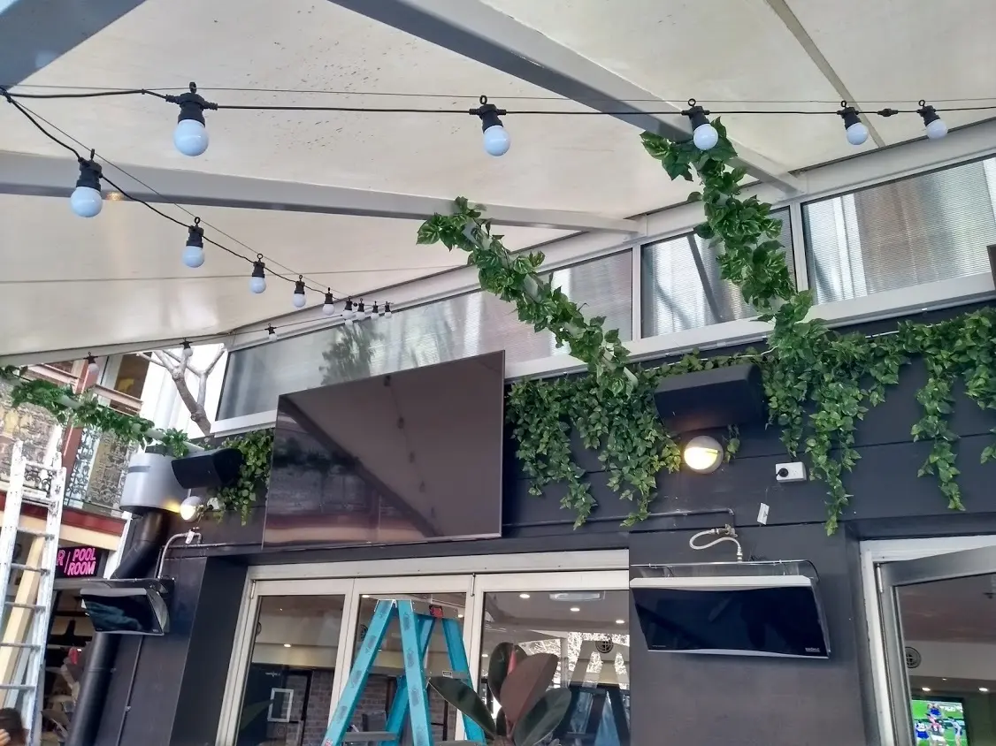 Outdoor Beer Garden Vines