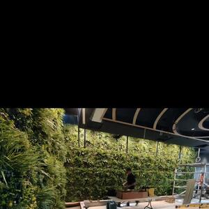 This is just a small snippet of some installs completed during this past year ✨

We are eternally grateful to all of our clients who have entrusted us to create something unique for each of their spaces. 

Every project tells a story, and it’s been an absolute joy bringing these visions to life 🤍

 #artificialplants #install #grateful