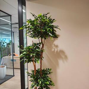 Office Fit Out Day 🌳

Entry Foyer - This gorgeous Triple Ficus Tree is so realistic and makes for a beautiful statement piece for this new office space...

Offices - Another Ficus Tree variety - love the whimsical and natural style of this Tree...

Breakout Space - This sweet little Cordyline Plant styles the ledge space perfectly and the Raphis Palms create the perfect privacy screen effect! 

#artificialplants
#fauxplants
#officefitout