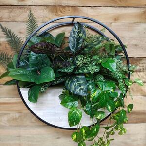 Elevate your walls with a touch of nature — no watering required. 🌿

Our Circle Wall Planter brings modern elegance and everlasting greenery to any space. Perfect for home, office, or even your favorite cozy corner.

Hang it. Love it. Forget it needs care!
-
-
-

#ArtificialGreenery #walldécor #homedecor #officedecor #artificialferns #greenery #GreenVibes #faux  #fauxgreenery #serenity #floweramasydney