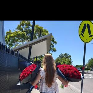 2nd Delivery going out today 🌹🌹🌹

#artificialflowers #artificialroses #valentine #loveisintheair❤️ #floweramasydney