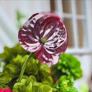 Product Spotlight ✨ 
You are going to love this beauty...Artificial Anthurium in Burgundy

She is rich, vibrant, textural and a must for your next floral display!

Rich burgundy tones layered through lush greens… creating depth, texture and a little touch of drama 🤫

#artificialflowers #fauxflorals #artificialflowerarrangement #newarrivals #anthurium