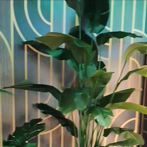 The secret’s out! 🌿 Artificial plants can look incredibly real — if you know how to 